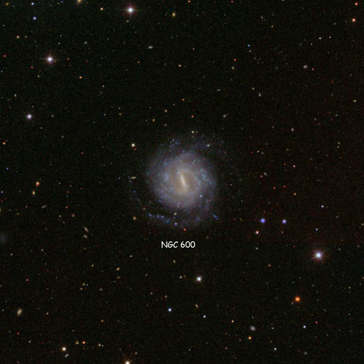 SDSS image of region near spiral galaxy NGC 600