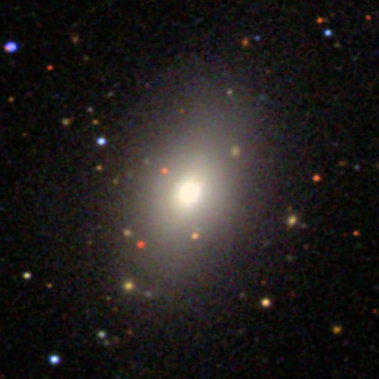 SDSS image of elliptical galaxy NGC 6021