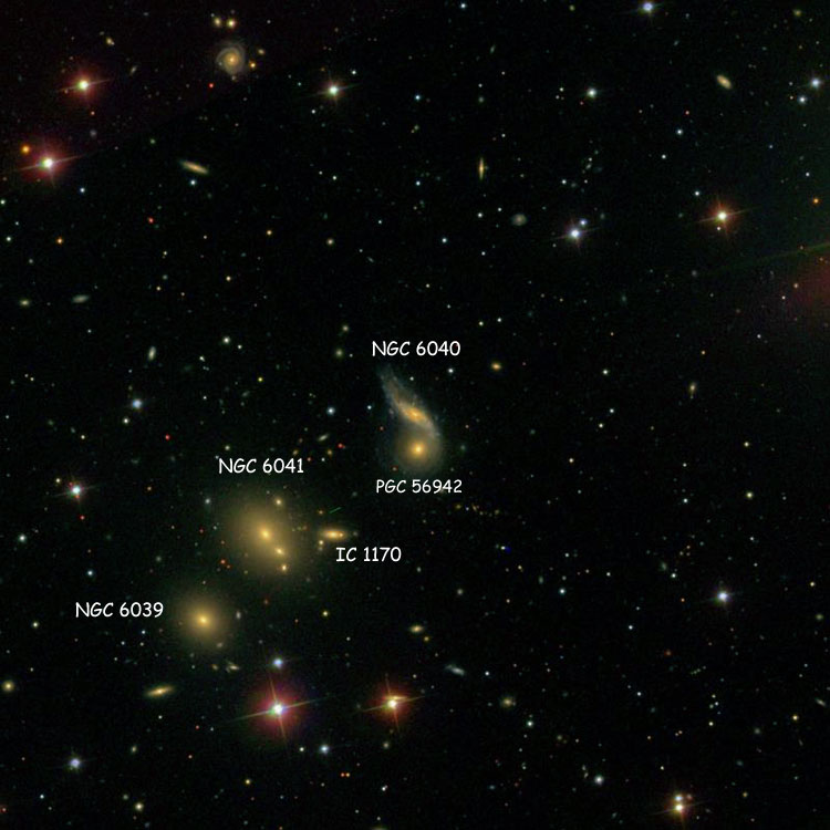 SDSS image of region near spiral galaxy NGC 6040 (sometimes misidentified as NGC 6039 or IC 1170) and PGC 56942 (also known as NGC 6040B and often misidentified as NGC 6039), also showing IC 1170, NGC 6041 and NGC 6039