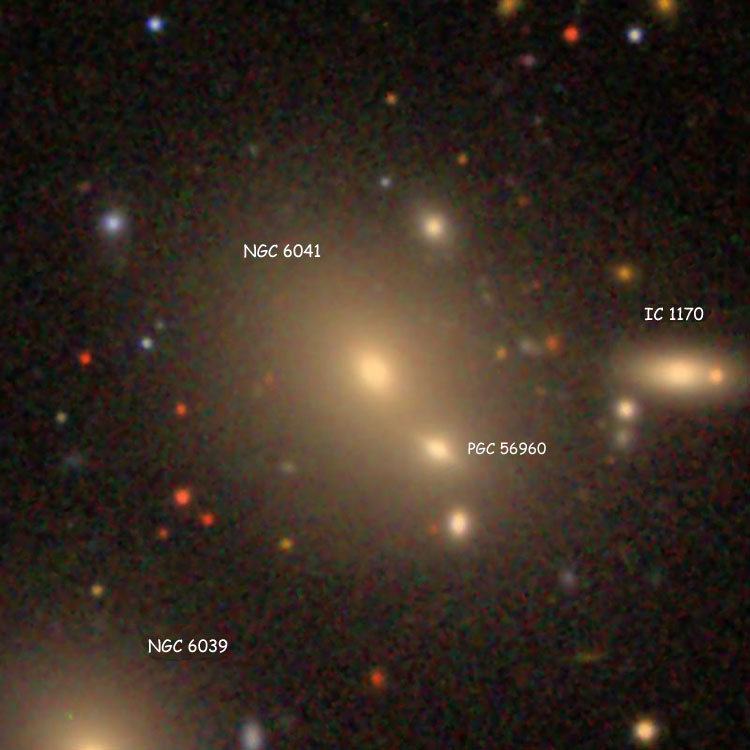 SDSS image of elliptical galaxy NGC 6041, also showing lenticular galaxies NGC 6039, IC 1170 and PGC 56960 (sometimes called NGC 6041B)