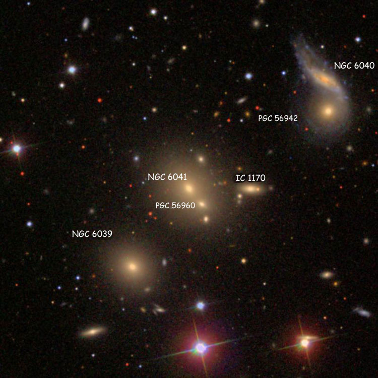 SDSS image of region near elliptical galaxy NGC 6041, also showing NGC 6039, IC 1170 and PGC 56960 (sometimes called NGC 6041B), NGC 6040 and PGC 56942 (sometimes called NGC 6040B)