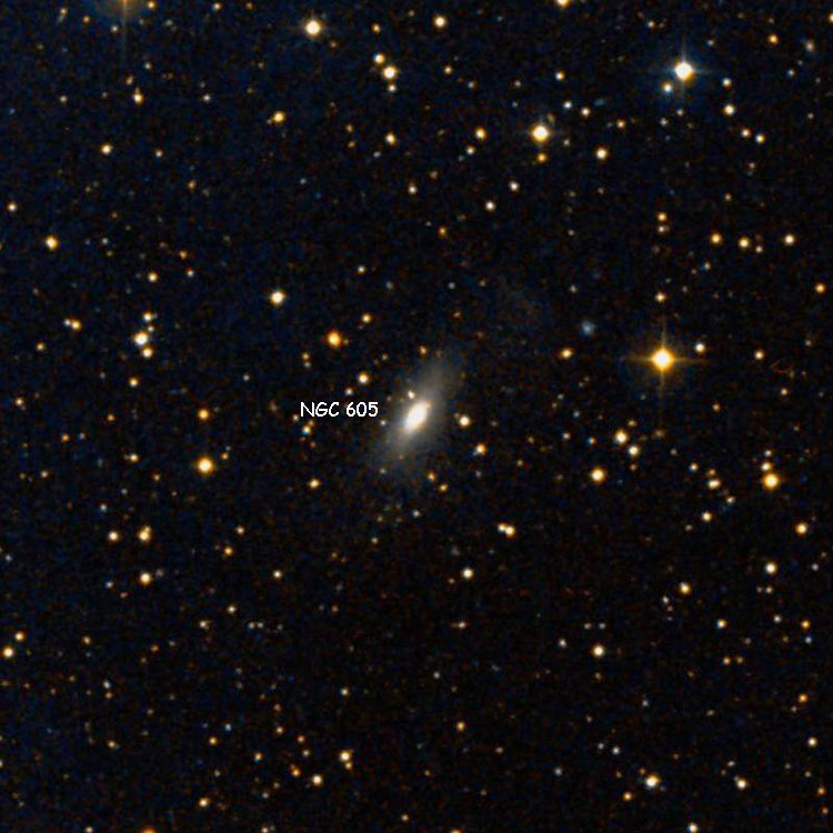 DSS image of region near lenticular galaxy NGC 605