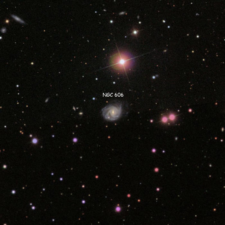 SDSS image of region near spiral galaxy NGC 606