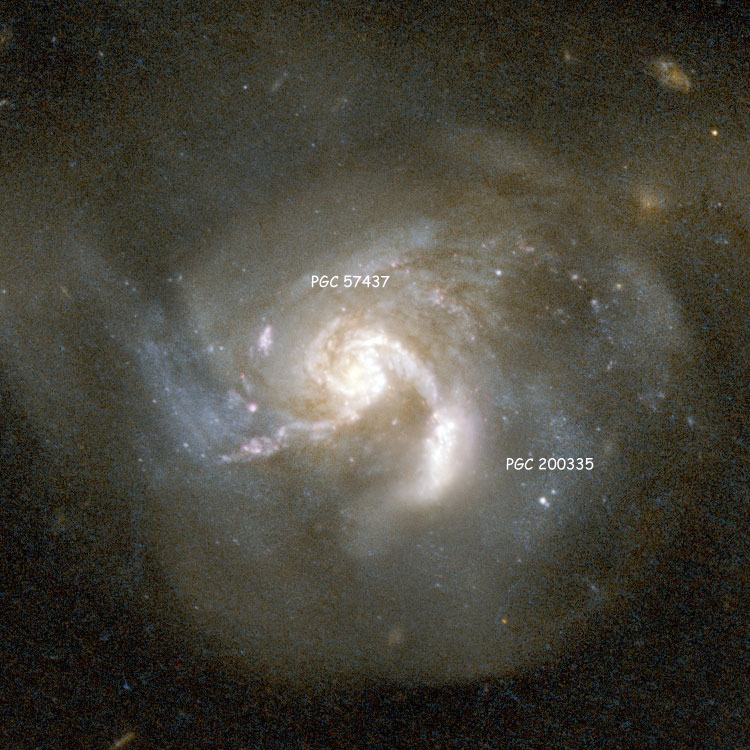 Labeled HST image of the core of the pair of colliding spiral galaxies listed as NGC 6090
