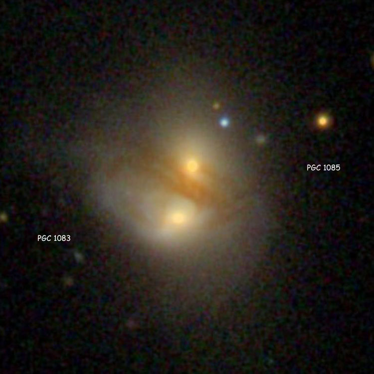 SDSS image of the pair of lenticular galaxies that comprise NGC 61