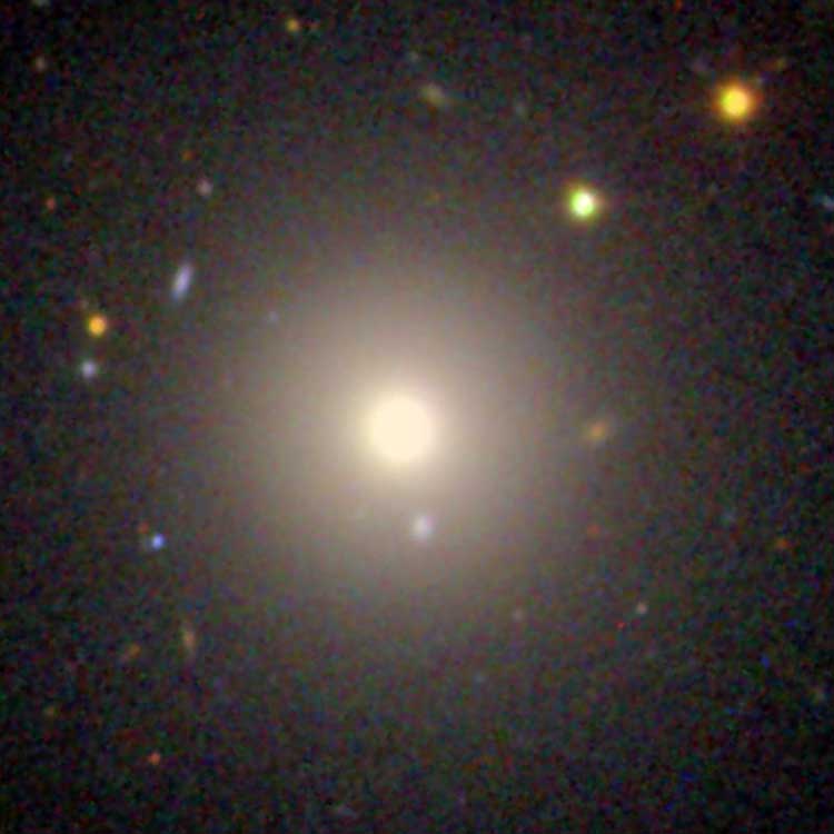 SDSS image of elliptical galaxy NGC 6125