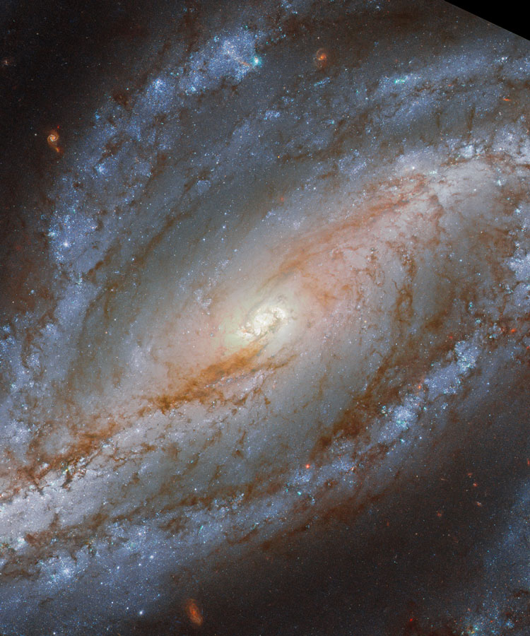 HST image of central portion of spiral galaxy NGC 613