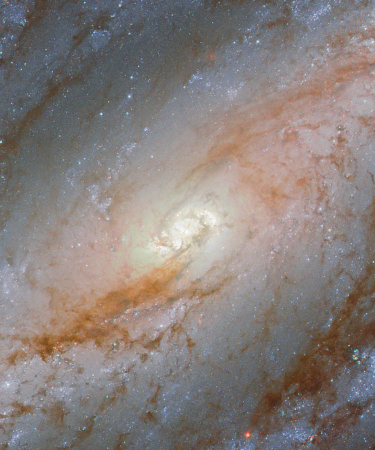 HST image of central portion of spiral galaxy NGC 613