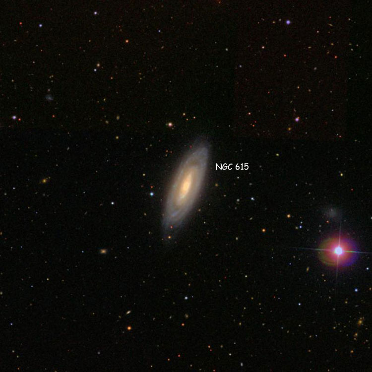 SDSS image of region near spiral galaxy NGC 615