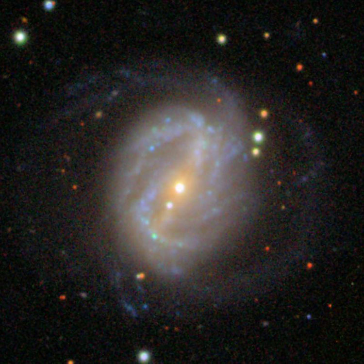 SDSS image of spiral galaxy NGC 6217