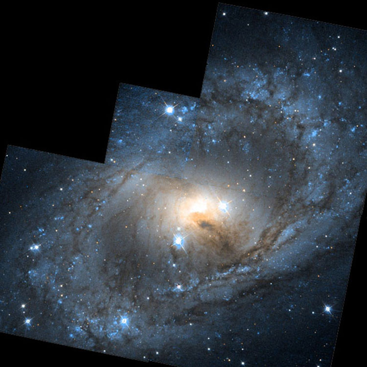 HST image of spiral galaxy NGC 6300