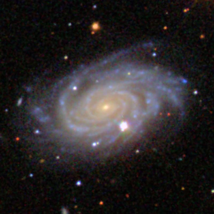 SDSS image of spiral galaxy NGC 6301
