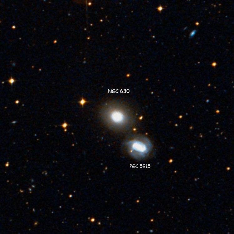DSS image of region near lenticular galaxy NGC 630, also showing PGC 5915