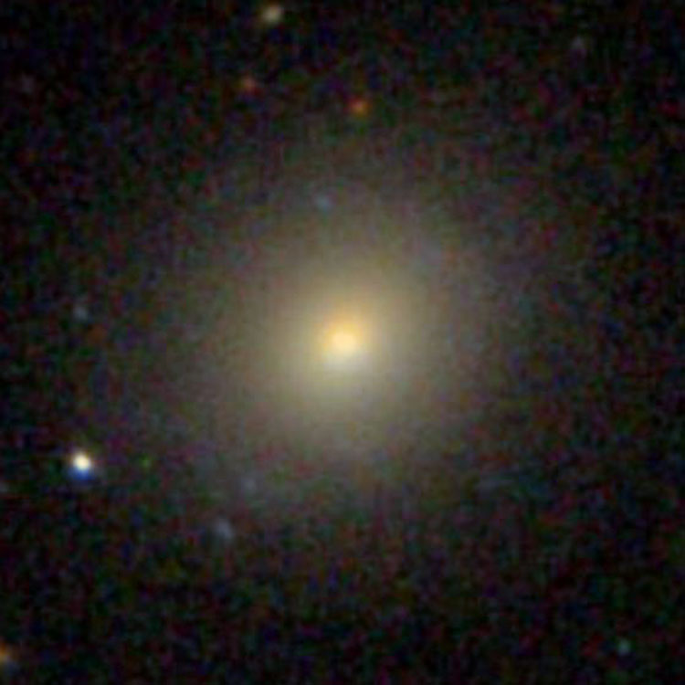 SDSS image of elliptical galaxy NGC 631
