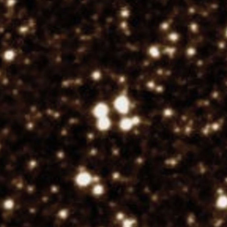 DSS image of the group of stars listed as NGC 6354