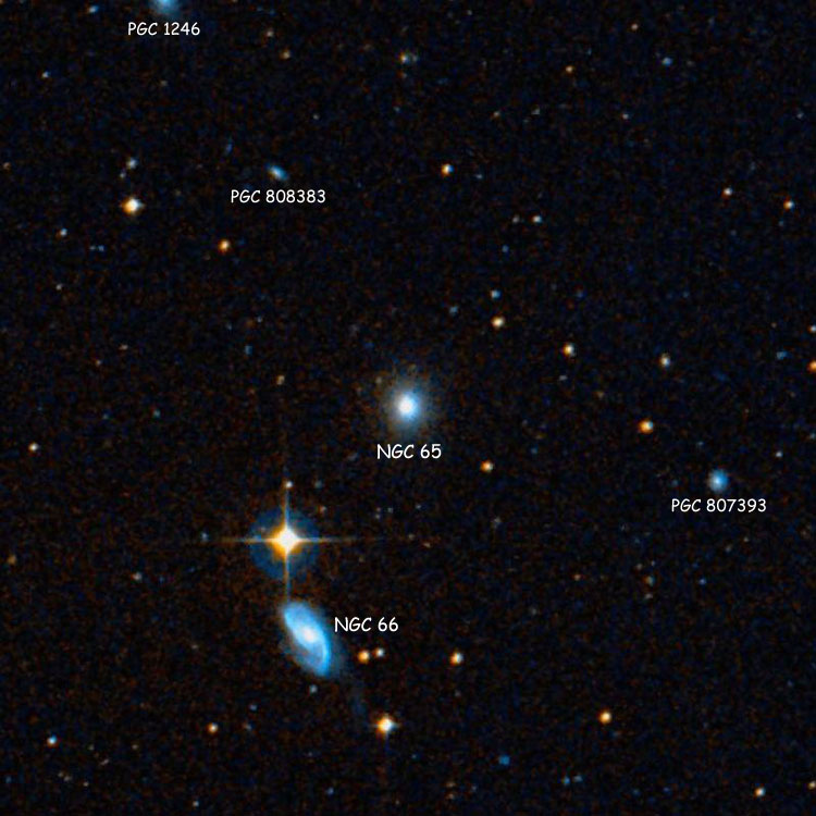 DSS image of region near lenticular galaxy NGC 65, also showing NGC 66 and several PGC objects