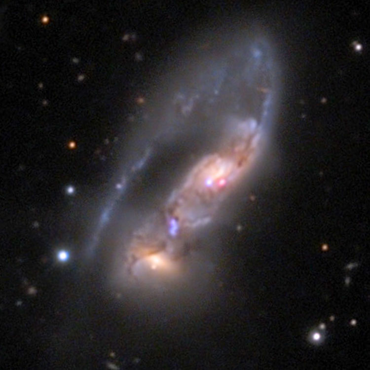 Mount Lemmon SkyCenter image of interacting spiral galaxies NGC 6621 and 6622, also known as Arp 81