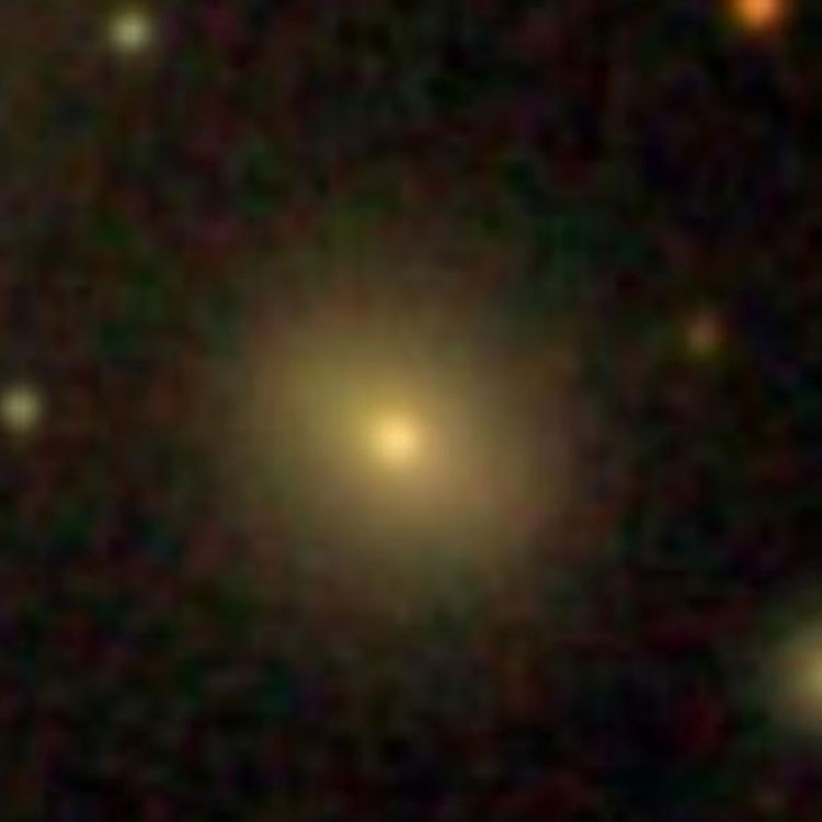 SDSS image of elliptical galaxy PGC 1185, which is sometimes called NGC 67A, and often misidentified as NGC 67
