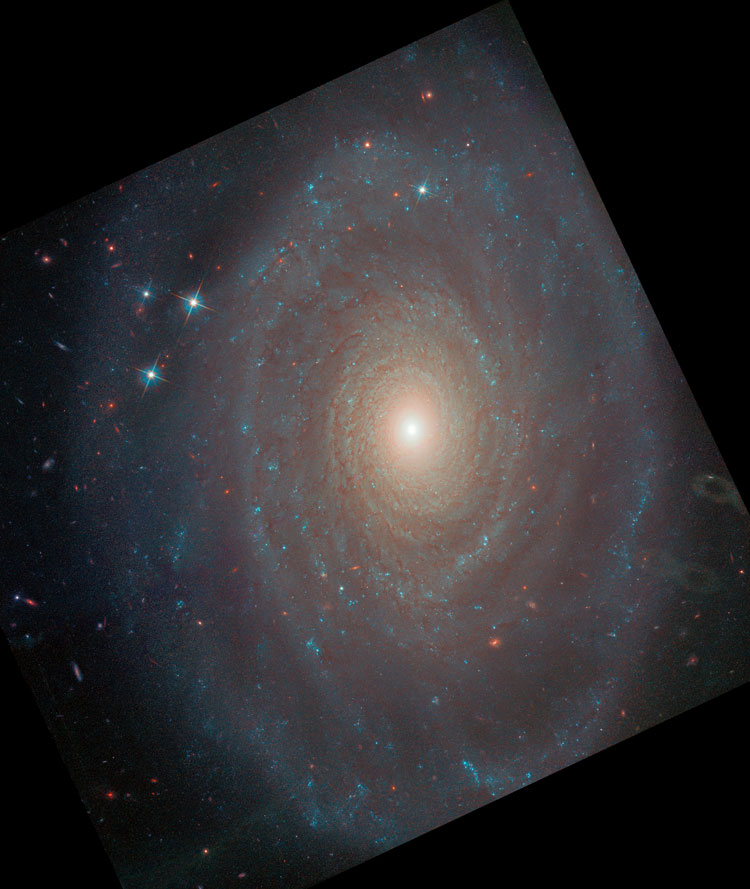 2020 HST image of spiral galaxy NGC 691