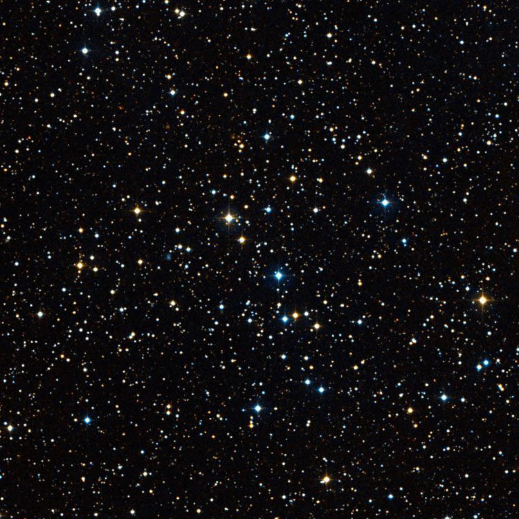 DSS image of stellar grouping NGC 6950