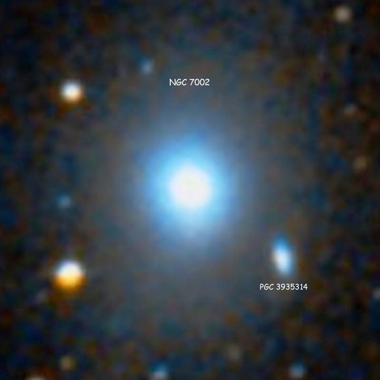 DSS image of elliptical galaxy NGC 7002, also showing PGC 3935314