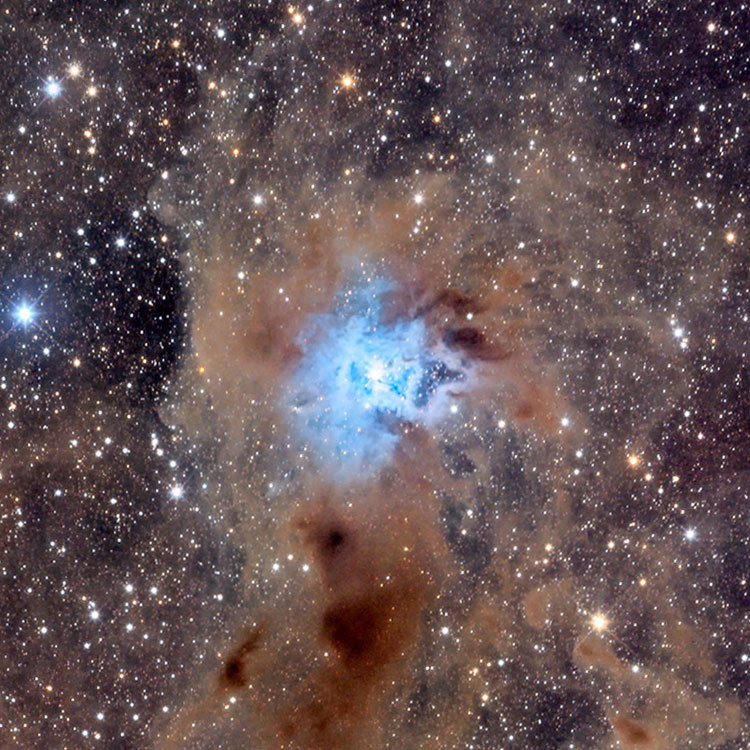 KPNO image of the Iris Nebula, NGC 7023, and the surrounding absorption nebulae