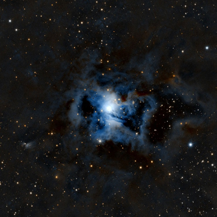 PanSTARRS image of the Iris Nebula, NGC 7023