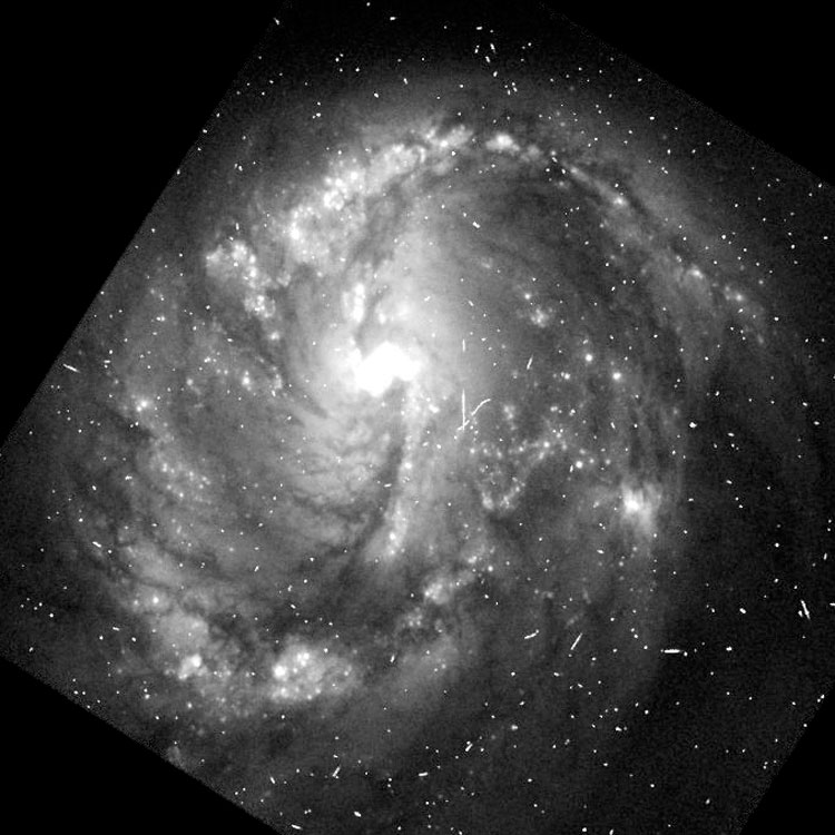 'Raw' HST image of spiral galaxy NGC 7130