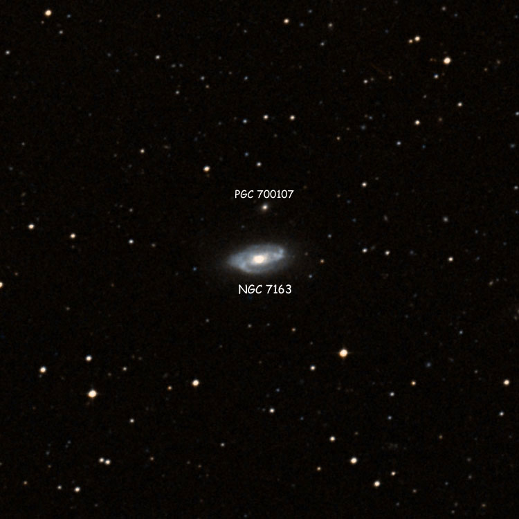 DSS image of region near spiral galaxy NGC 7163, also showing PGC 700107