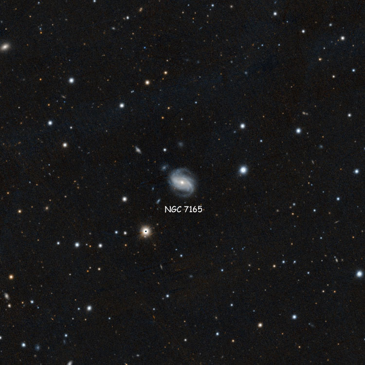 PanSTARRS image of region near spiral galaxy NGC 7165