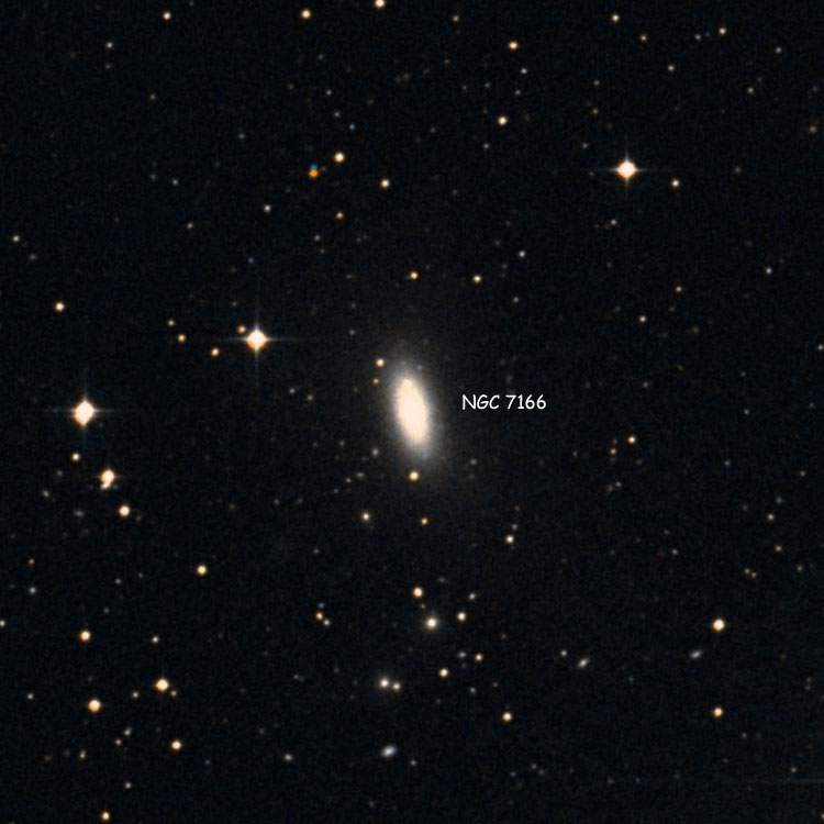 DSS image of region near lenticular galaxy NGC 7166