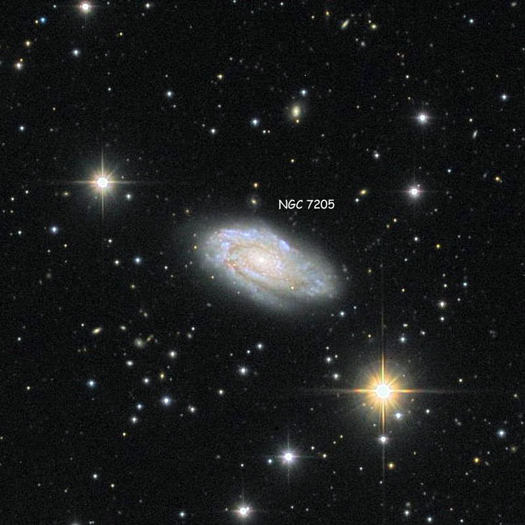Wikisky cutout (credited to Jim Riffle) of region near spiral galaxy NGC 7205