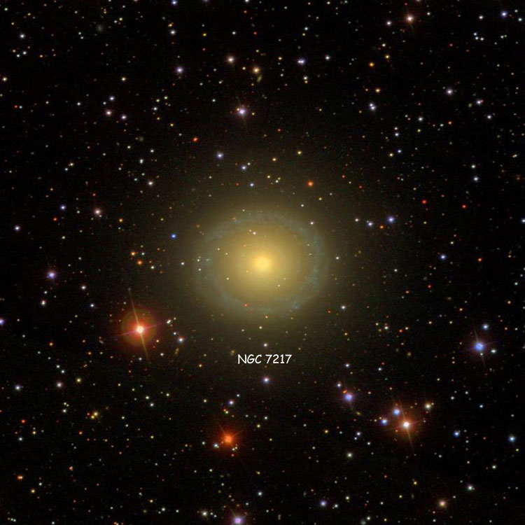 SDSS image of region near spiral galaxy NGC 7217