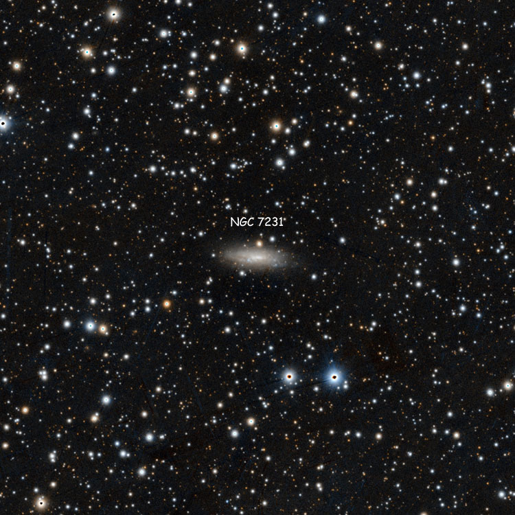 PanSTARRS image of region near spiral galaxy NGC 7231