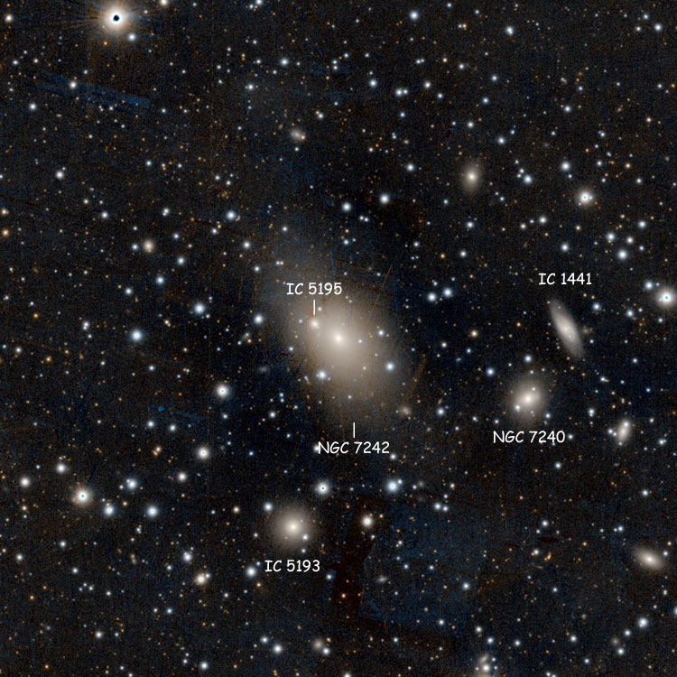 PanSTARRS image of peculiar giant elliptical galaxy NGC 7242, also showing NGC 7240, IC 1441, IC 5193 and IC 5195