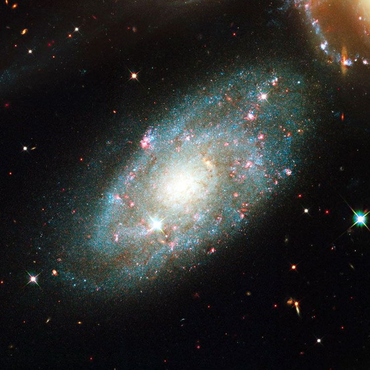 HST image of spiral galaxy NGC 7320, an apparent but not physical member of Stephan's Quintet