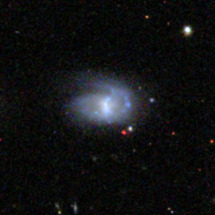 SDSS image of spiral galaxy NGC 7401