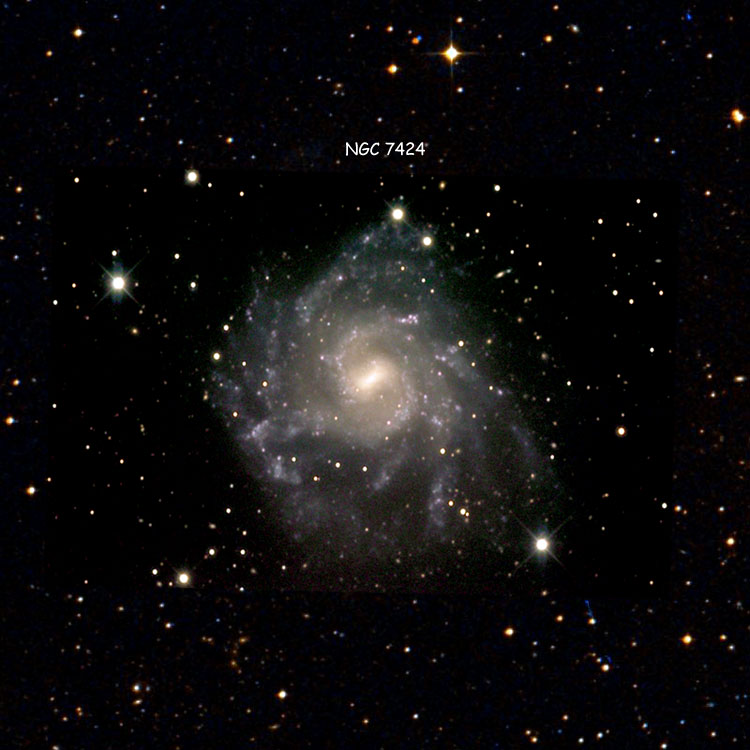 Observatorio Antilhue image of region near spiral galaxy NGC 7424, overlaid on a DSS background to fill in areas not covered by the higher quality image