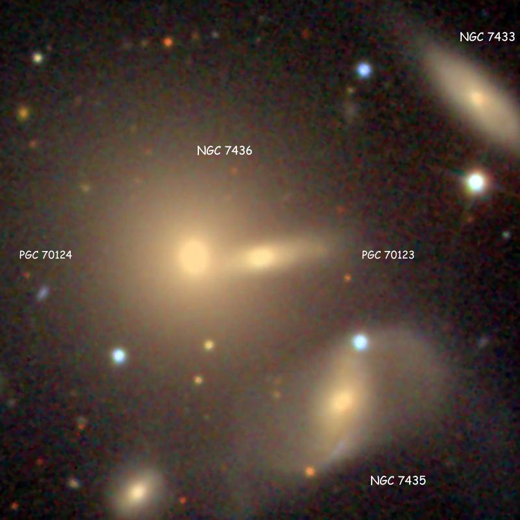 SDSS image of multiple galaxy NGC 7436, also showing NGC 7433 and 7435