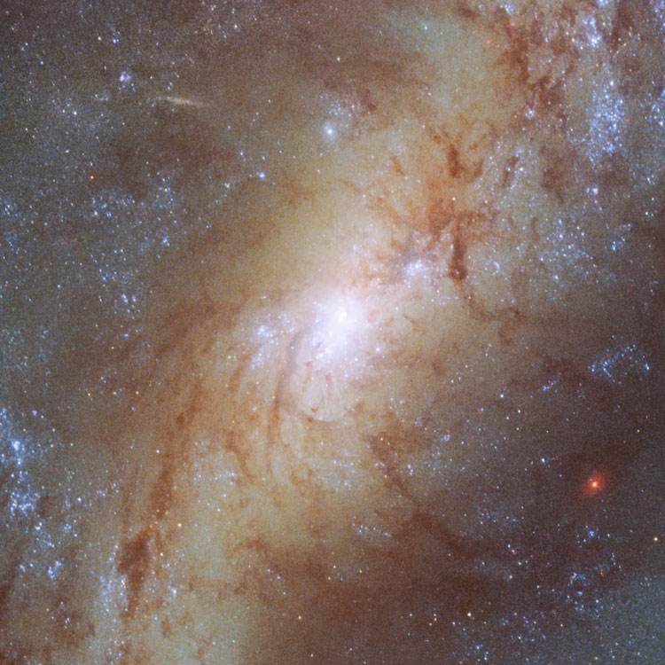 HST image of nucleus of spiral galaxy NGC 7496