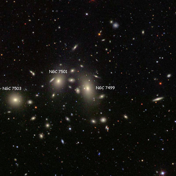SDSS image of region near lenticular galaxy NGC 7499, also showing NGC 7501 and 7503, and a host of smaller members of the Pisces Cluster of galaxies