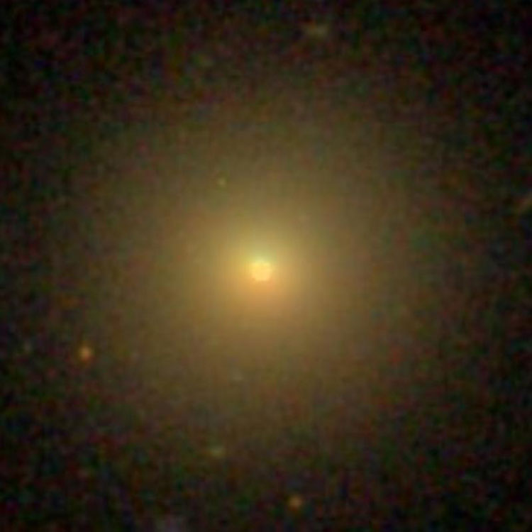 SDSS image of lenticular galaxy NGC 75