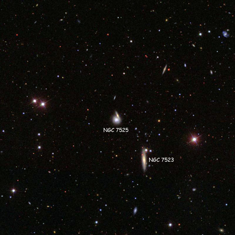 SDSS image of region near possible galaxy pair NGC 7525, also showing NGC 7523