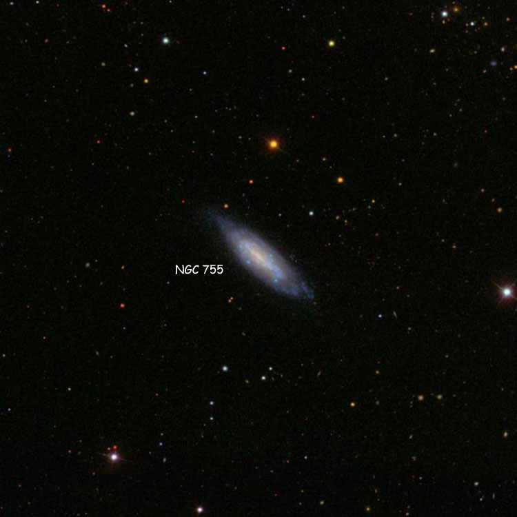 SDSS image of region near spiral galaxy NGC 755