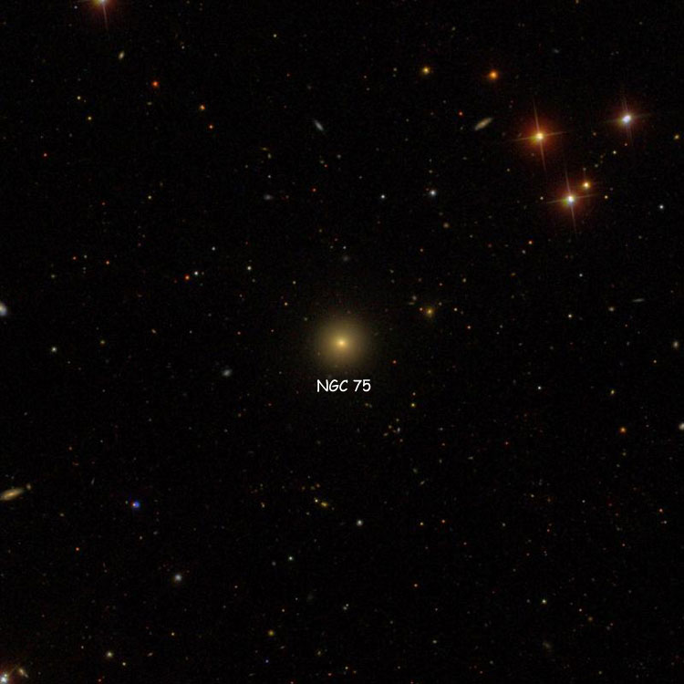 SDSS image of region near lenticular galaxy NGC 75