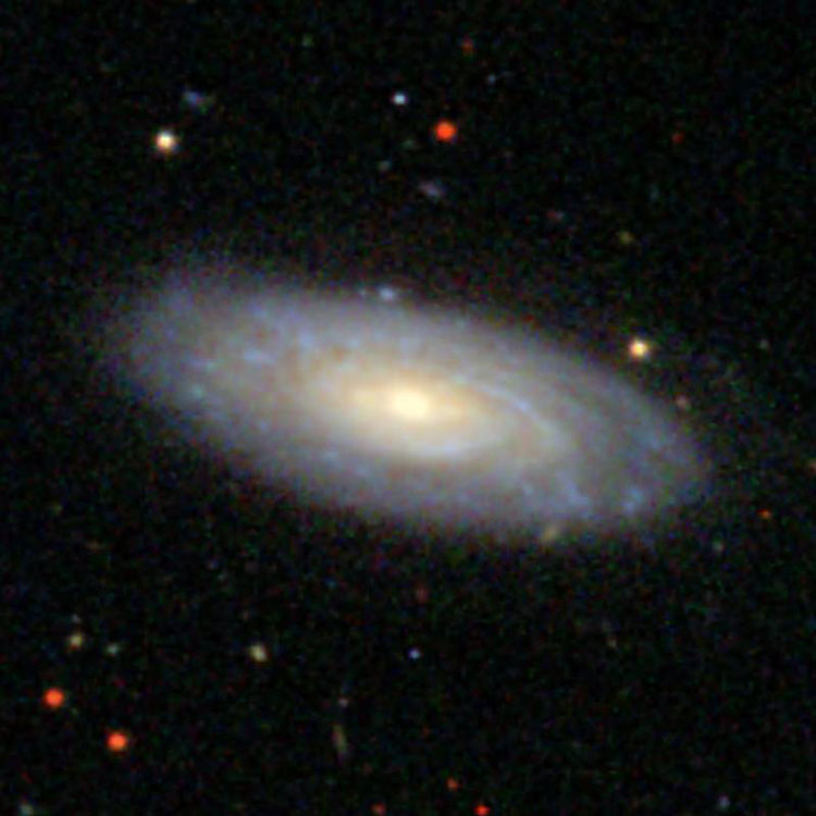 SDSS image of spiral galaxy NGC 7631