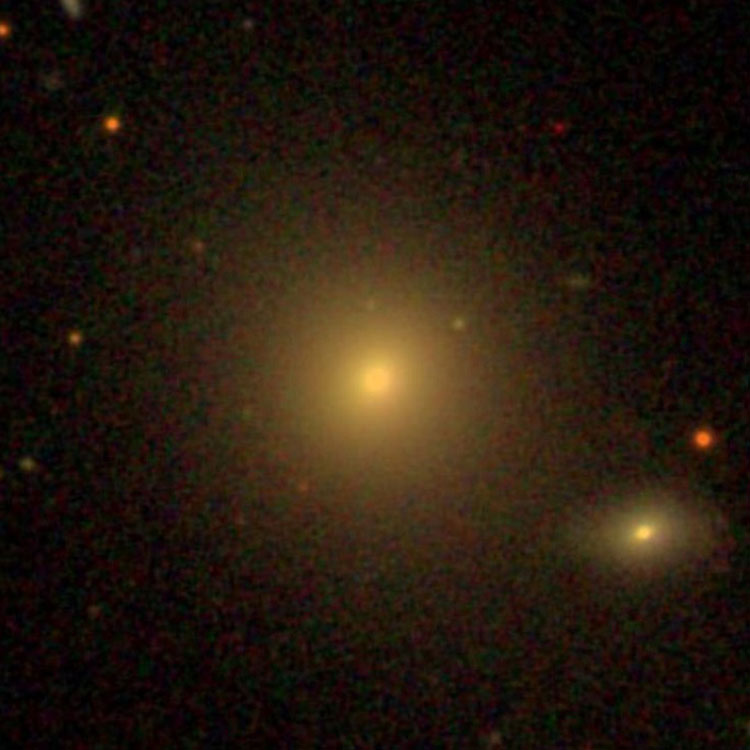 SDSS image of elliptical galaxy NGC 766
