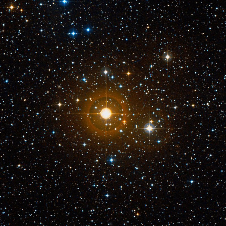 DSS image of open cluster NGC 7686