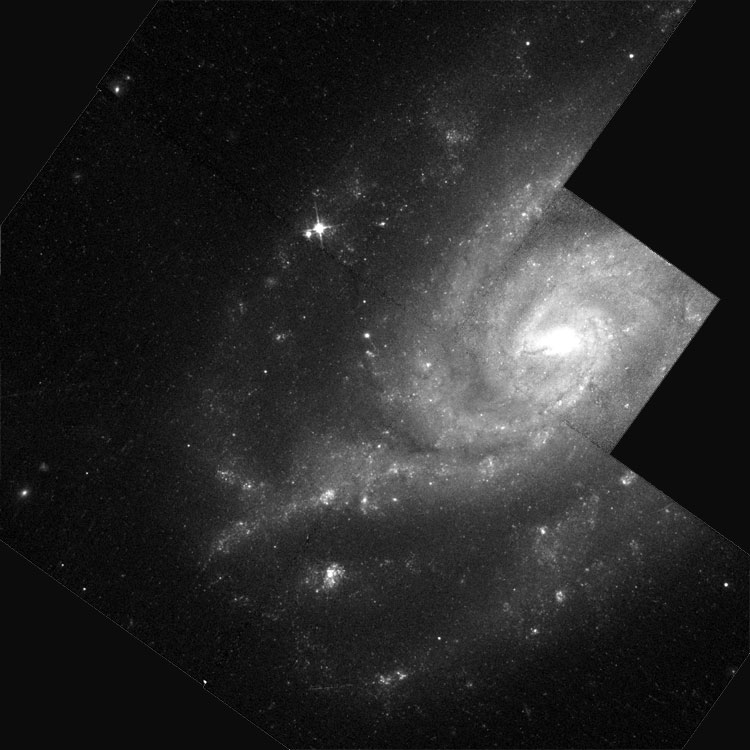 HST image of part of spiral galaxy NGC 7689