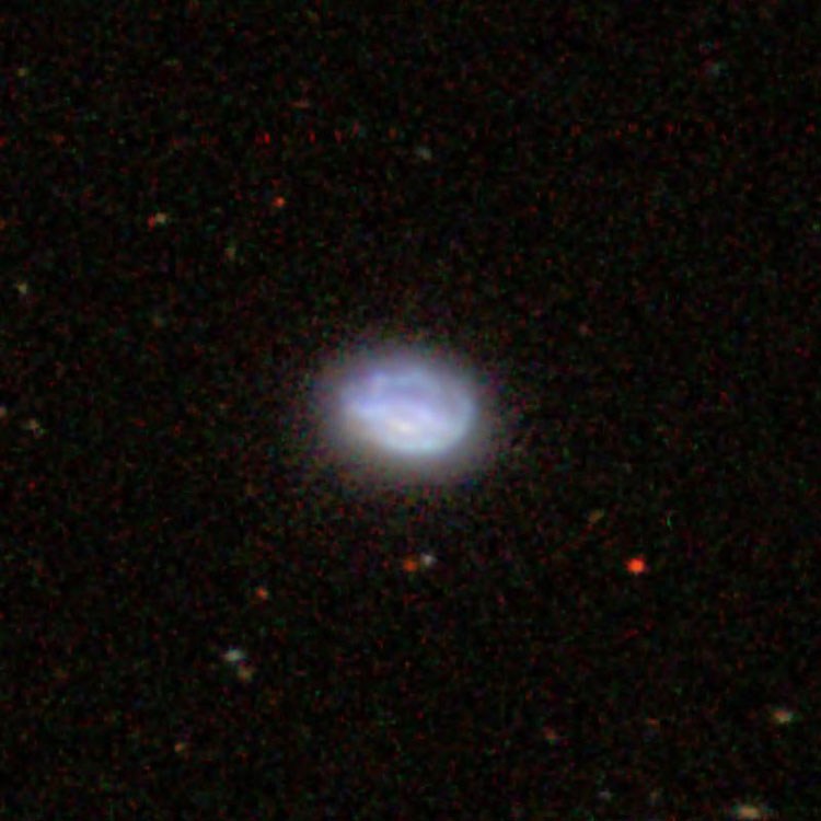 SDSS image of irregular galaxy NGC 7692